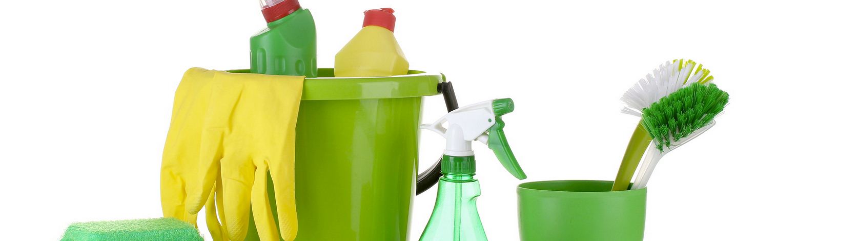 organic house cleaning