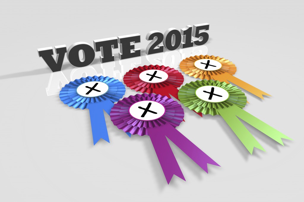 UK Vote 2015 Title and Rosettes angled
