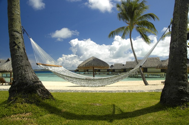 Hammock