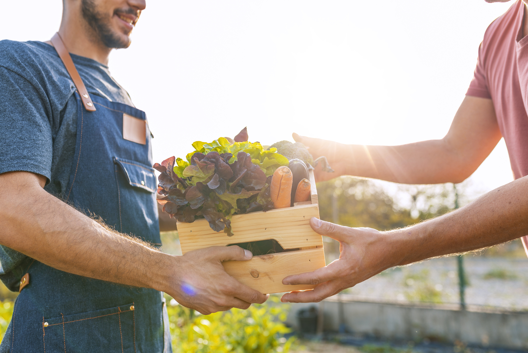 Farmer giving box of veg to customer on a sunny day