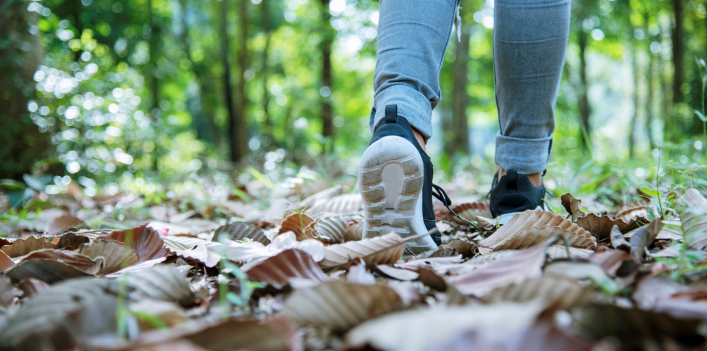 Walking in nature