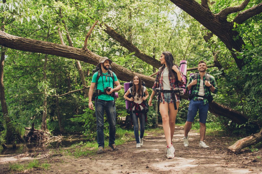 Trekking, camping and wild life concept. Two couples of friends are walking in the sunny spring woods, talking and laughing, all are excited and anxious, jungle trails