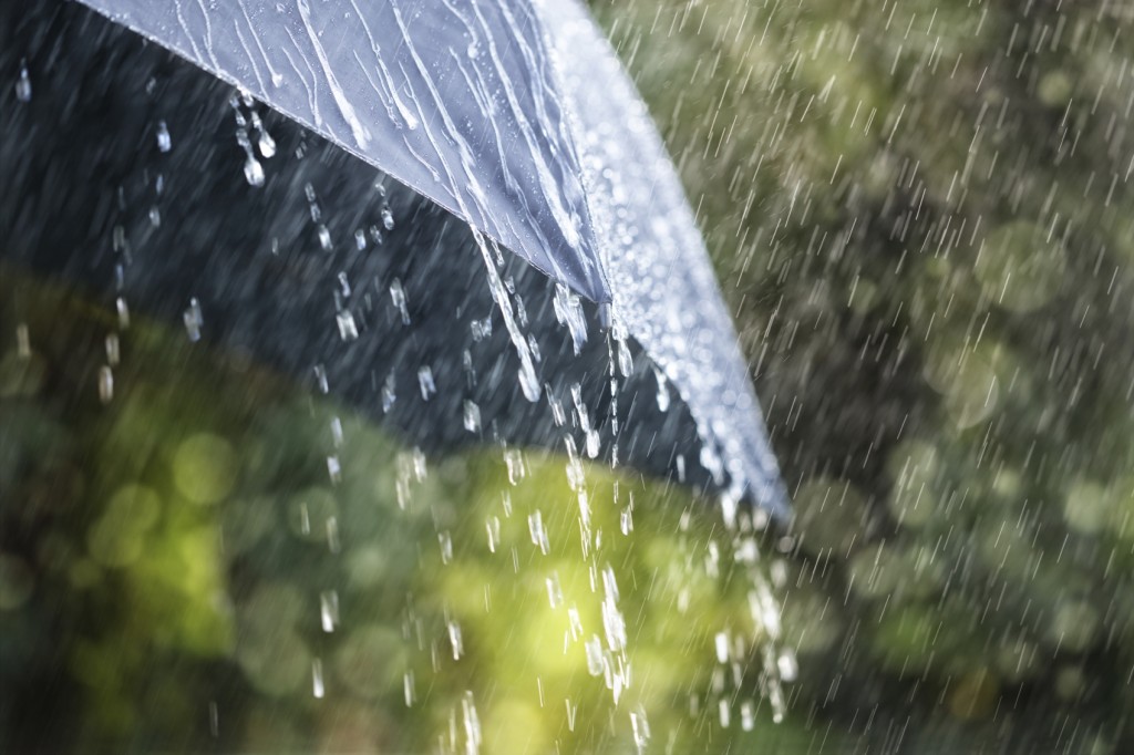 Rain on umbrella